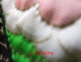 (c)3.tomy