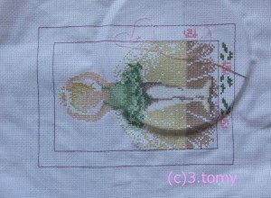 (c)3.tomy