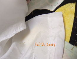 (c)3.tomy
