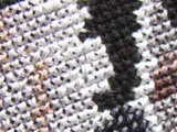 wolf 0227