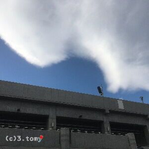 (c)3.tomy