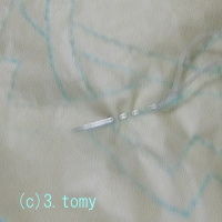 (c)3.tomy
