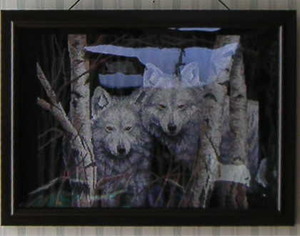comp02