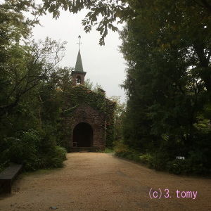 (c)3.tomy