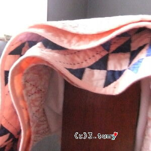 (c)3.tomy