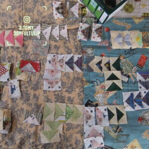 (joyfultulip instagram)