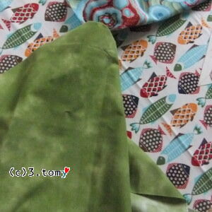 (c)3.tomy