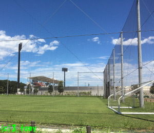 (c)3.tomy