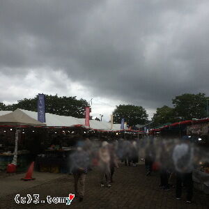 (c)3.tomy