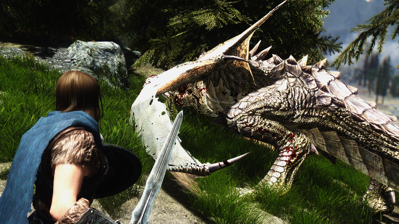 Ss撮影用 Another Sky Rim