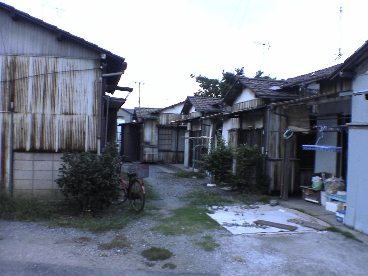 懐かしい家 ジョゼと虎と魚たち