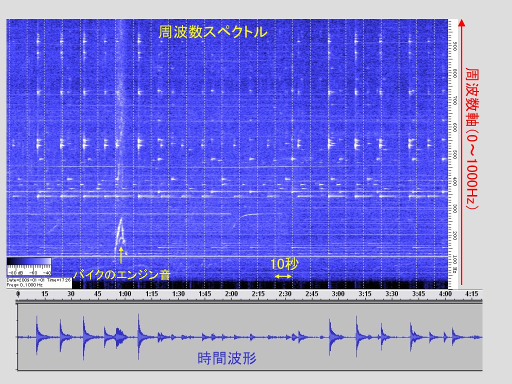 自宅で聞く除夜の鐘 08大晦日 Jp3pzd S Photo Diary 自宅で聞く除夜の鐘 08大晦日 Jp3pzd S Photo Diary