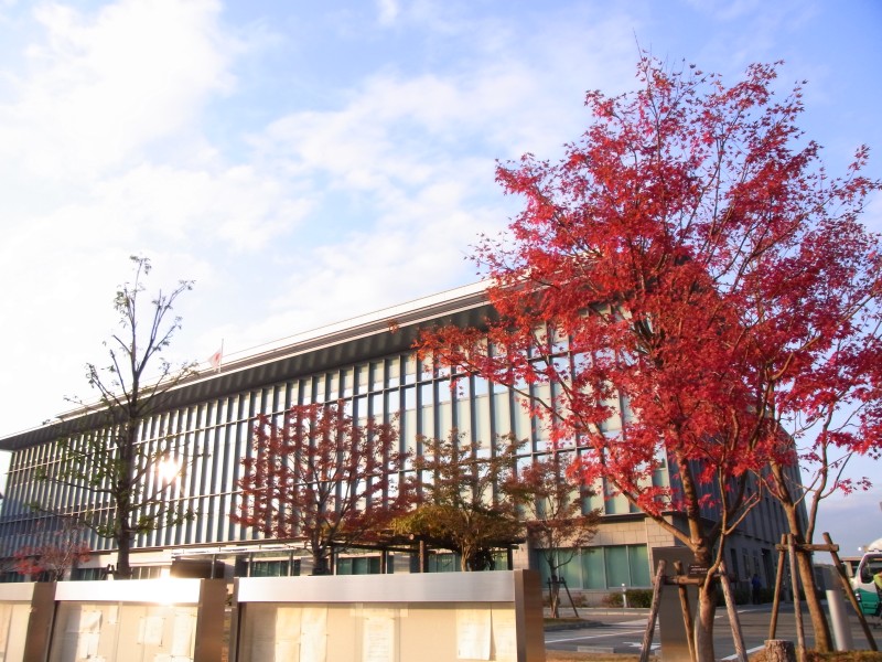 奈良県文化会館と奈良地方裁判所の紅葉 Jp3pzd S Photo Diary
