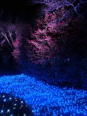 なら瑠璃絵4@奈良春日野国際フォーラム