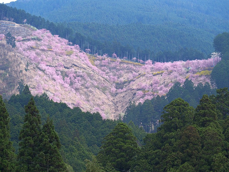 高見山登山口から高見の郷を遠望 Jp3pzd S Photo Diary 高見山登山口から高見の郷を遠望 Jp3pzd S Photo Diary