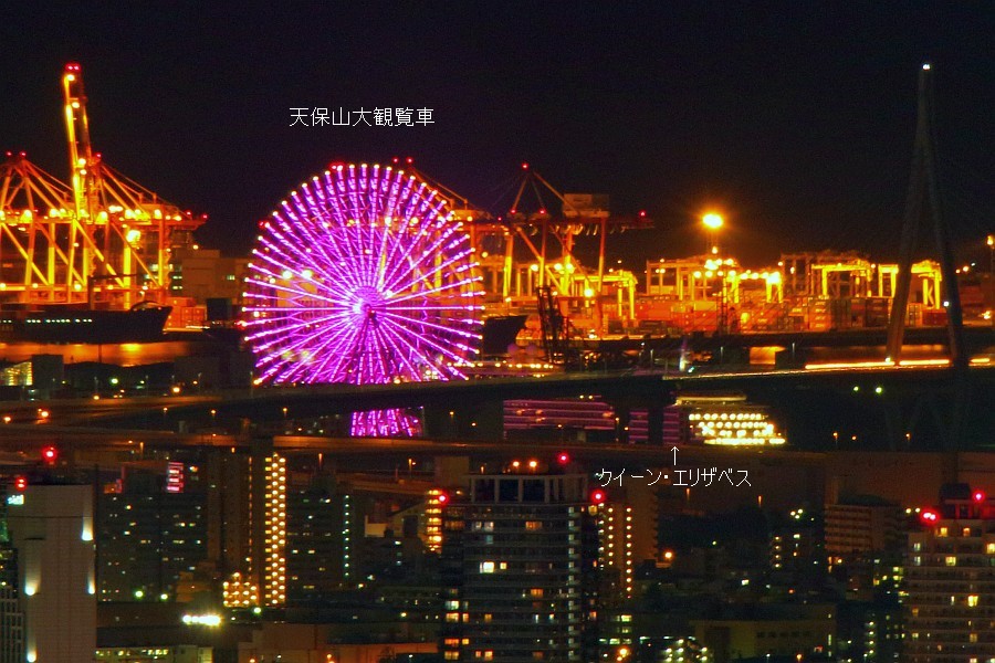 豪華客船クイーン エリザベスを生駒山から遠望 Jp3pzd S Photo Diary