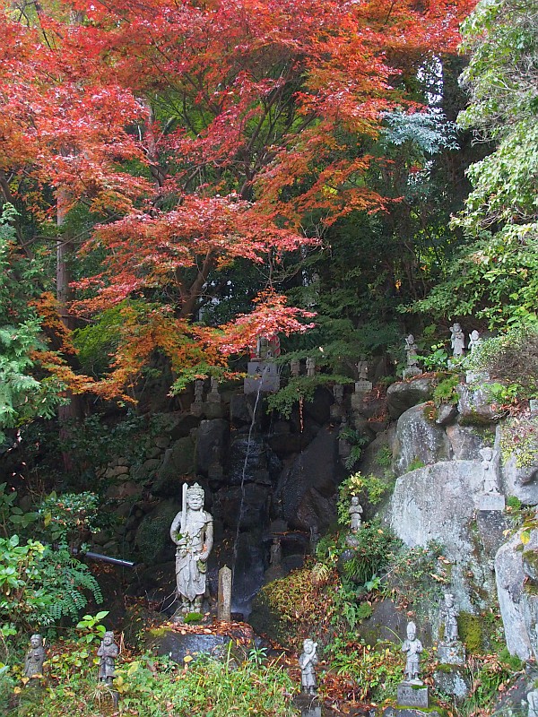 紅葉 千光寺 Jp3pzd S Photo Diary 紅葉 千光寺 Jp3pzd S Photo Diary