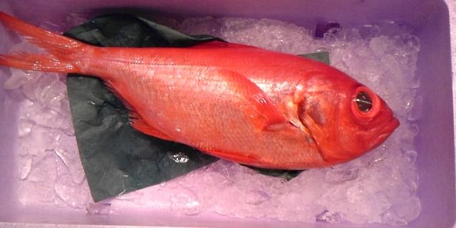 北海道水産仕入 通販 金目鯛じゃないよ きんき だよ