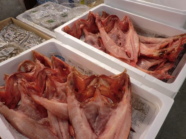 北海道水産仕入 通販 キンキ