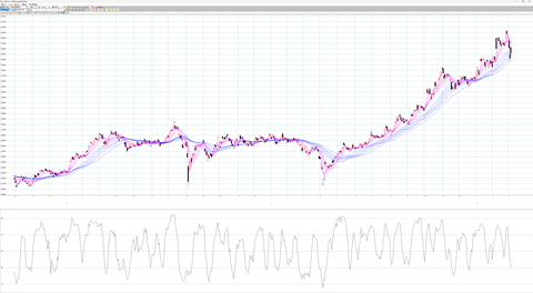 225先物つなぎ足　日足チャート