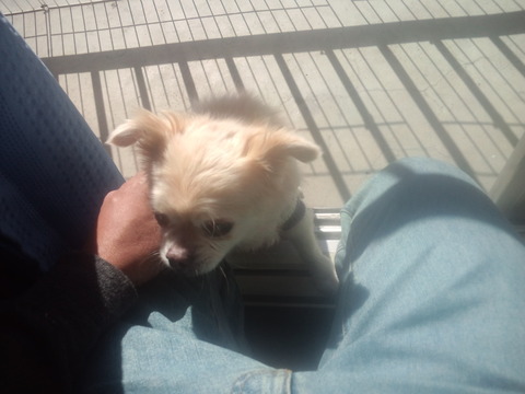 07389050.jpg