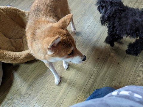 PXL_20230613_022134846