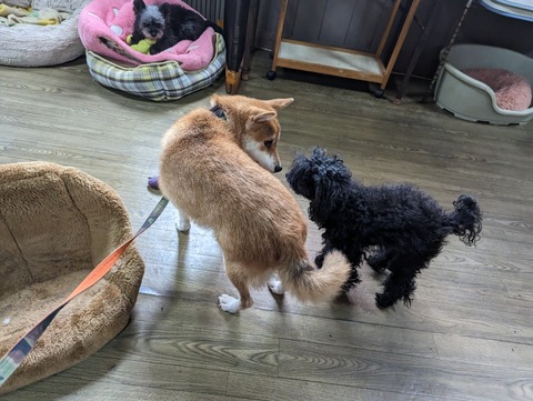 PXL_20230613_014741311