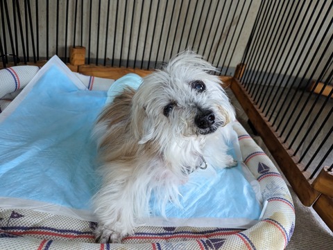 PXL_20230615_001021325