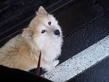 0222a873.JPG