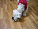 0406d8f8.jpg