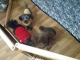 057087fa.JPG