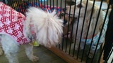 09050323.jpg