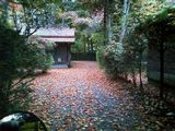 0a867a25.jpg