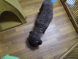 12205e79.jpg