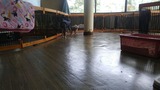 17ac8b02.jpg