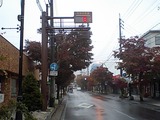 205c205f.jpg