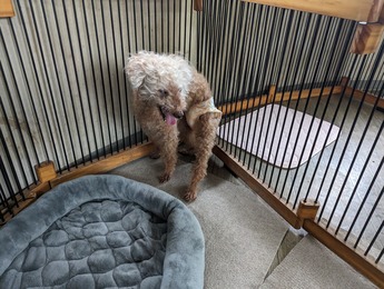 PXL_20230808_055342097