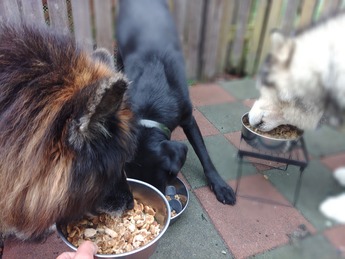 KIMG3320_01_BURST1013320_COVER