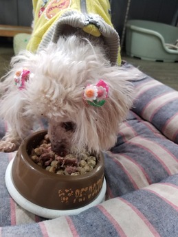 20210328_082552