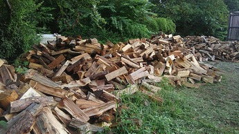 KIMG5924