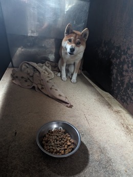 PXL_20240329_002113620