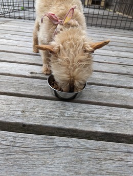 PXL_20230429_074357962