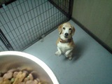 38c40cda.JPG