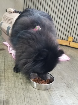 20190430_174204