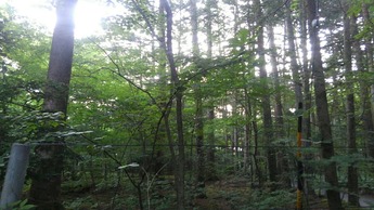 IMG_20180630_054542