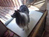 3cfeafd6.JPG