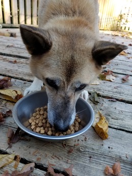 20181028_083153