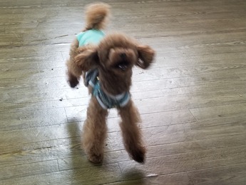 20210429_090807