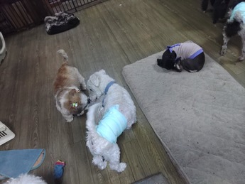 KIMG0070_02_BURST1010070