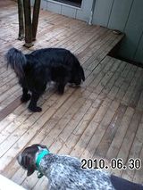 4a973a11.jpg